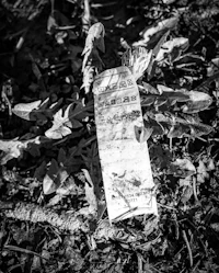 a black and white photo of a piece of paper laying on the ground